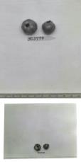 Click for 1 image(s) for this accession. FRUIT